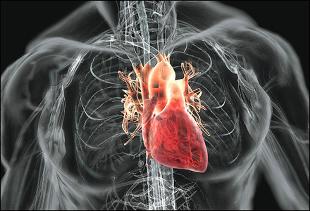 Bolezni srca in ožilja